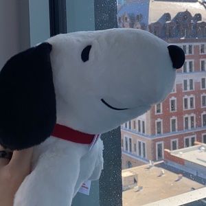 Meet your Posher, Yutong